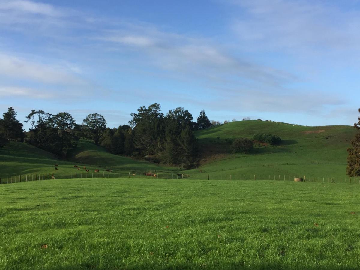 Veld View Bed And Breakfast Tuakau Exterior photo