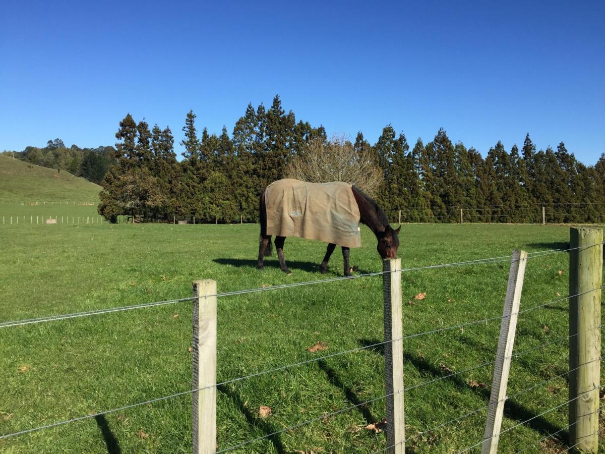 Veld View Bed And Breakfast Tuakau Exterior photo