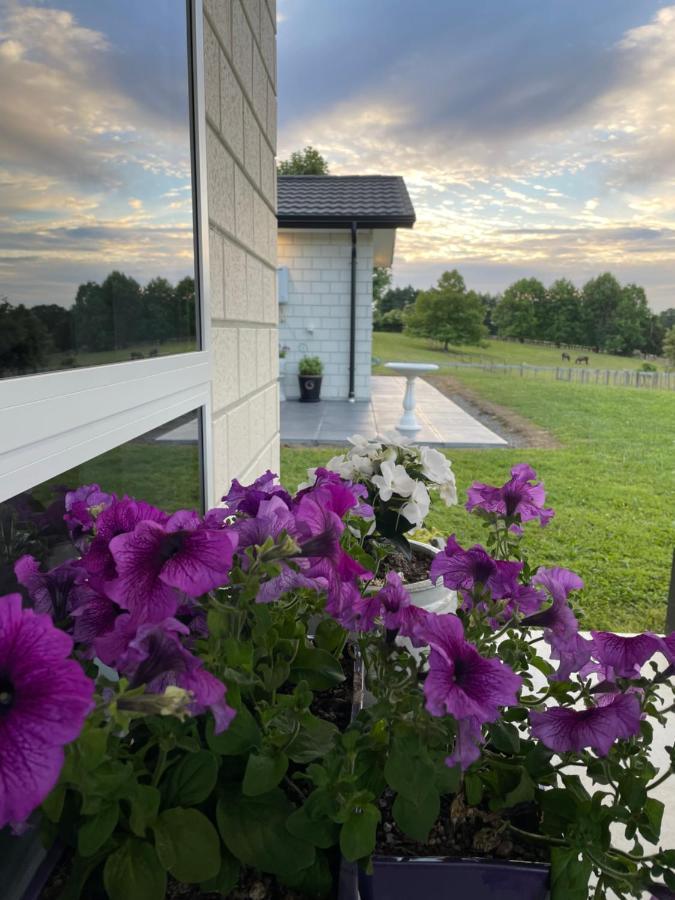 Veld View Bed And Breakfast Tuakau Exterior photo