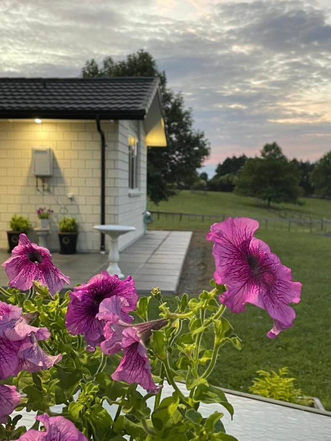 Veld View Bed And Breakfast Tuakau Exterior photo
