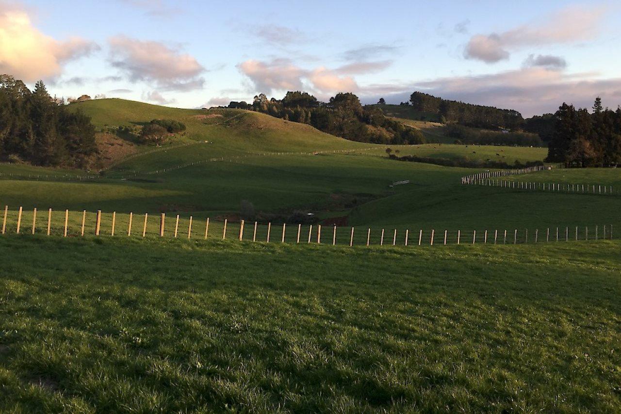 Veld View Bed And Breakfast Tuakau Exterior photo